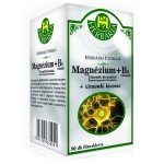 Herbária Magnézium + B6-vitamin citromfű kivonattal filmtabletta (30x)