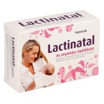 Lactinatal kapszula (30x)