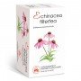 Bioextra Echinacea filteres tea (20x)