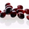 Krill