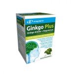 InnoPharm Ginkgo Plus Ginkgo Biloba 120 mg + magnézium filmtabletta (60x)