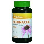 Vitaking Echinacea - Bíbor kasvirág 250 mg kapszula (90x)